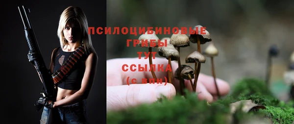 эйфоретик Белокуриха