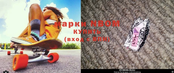 гидра Богородицк