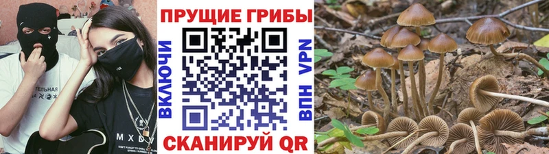 Галлюциногенные грибы мухоморы  darknet официальный сайт  Городище 