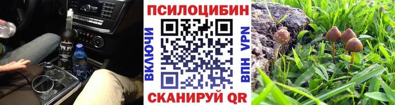 Псилоцибиновые грибы прущие грибы Городище